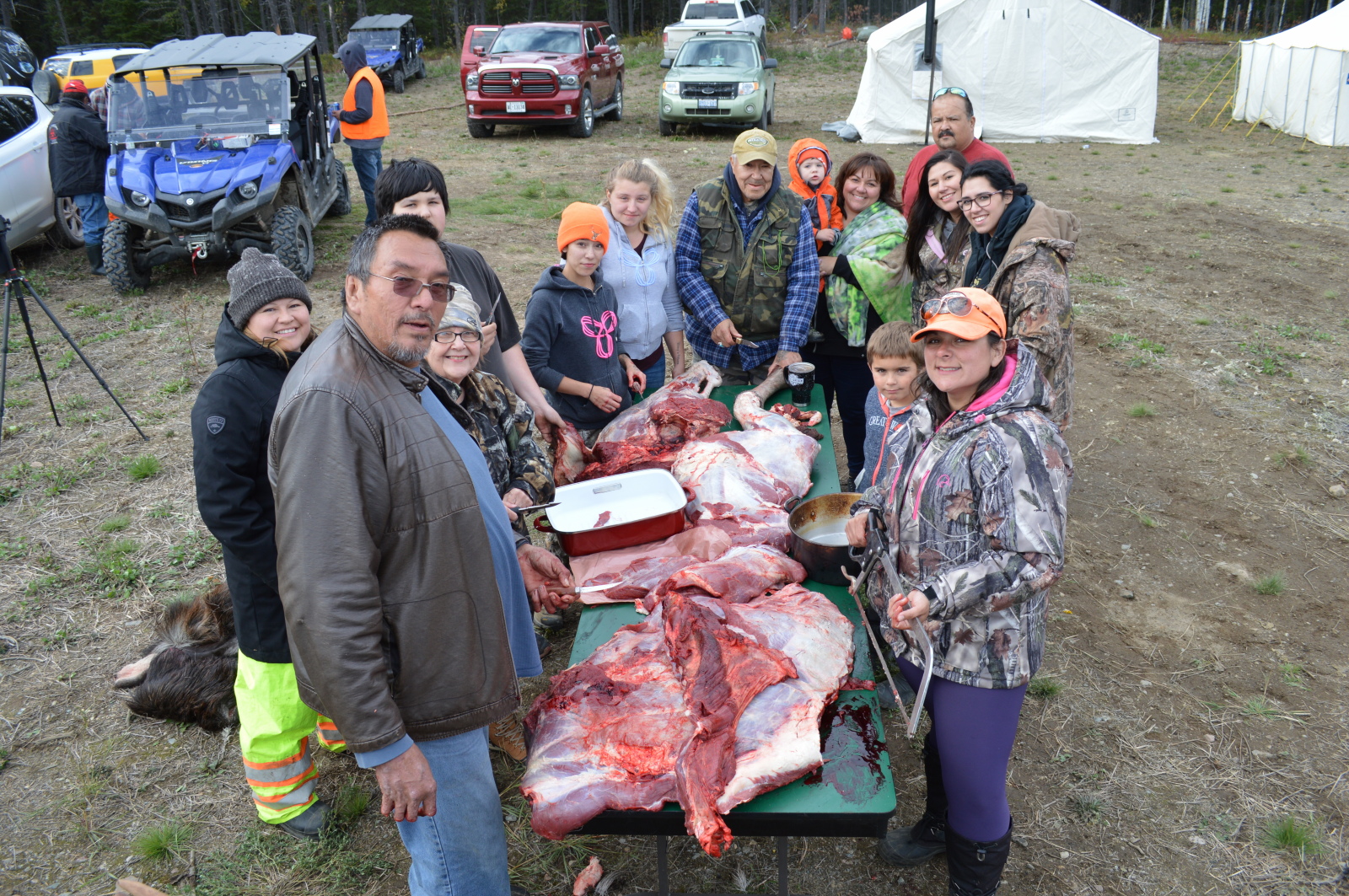 moose harvest