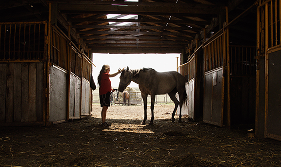 A young woman stands facing a horse in a barn. They are in silhouette with the sun streaming in through the big barn door.