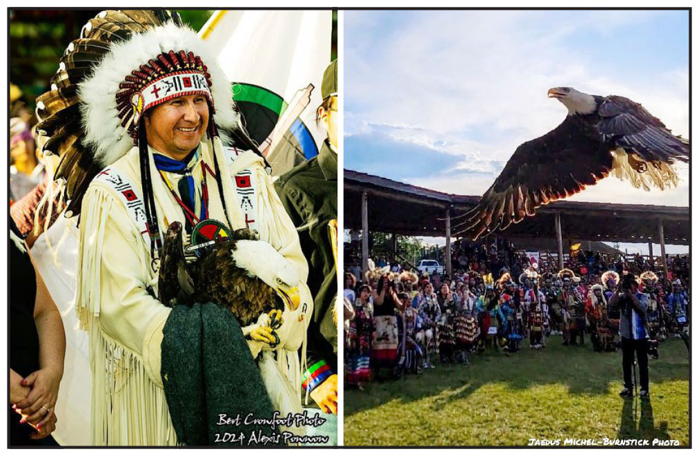 Two photos of an eagle, before release in the arms of a chief in buckskin and a headdress and at right the eagle in the air flying through the powwow arbour.