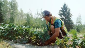 A man is knelt before a row of plants.