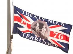 Treaty 6 flag