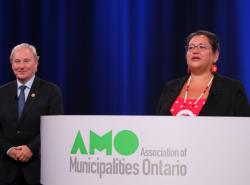 AMO declaration pic 1
