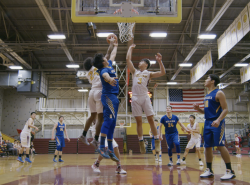 Alaskan Nets