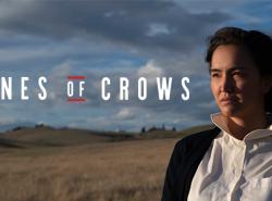 Bones of Crows poster shows a woman standing in a field, wind blowing her dark short hair. Dark clouds are gathring in the blue sky behind her.