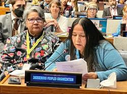 Two women sit amongst a crowd of people. The sit at a desk with a name plate that says Indigenous Peoples Organization. 