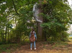 A girl wearing a backpack stands with her back to the camera. She stares up at a tree with a strange grey growth attached to its trunk.