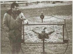 A man stands beside an metal art piece with a Buffalo skull placed in the centre of a webbing of barbed wire